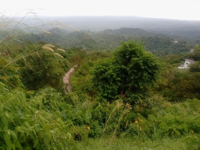 Agricultural lot for sale near Splendido and Narra hills on Carousell