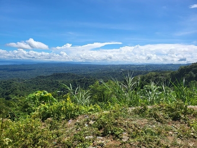 Agricultural lot for sale with mountain view on Carousell