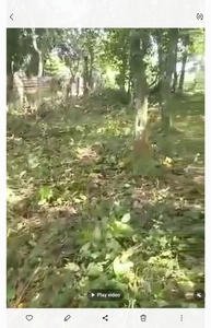 AMADEO CAVITE LOT FOR SALE 500SQM(1.9M) on Carousell
