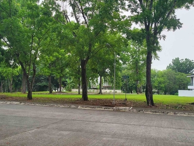 Amazing Corner Lot For Sale in Manila Southwoods Residential Estates Near Makati City and BGC on Carousell