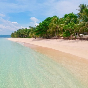 AS - FOR SALE: Beachfront Property in Alegria Siargao near Cloud 9 General Luna on Carousell