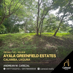 Ayala Greenfield Corner Lot For Sale Beside Garden Area on Carousell