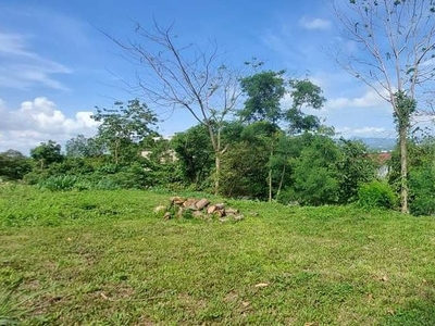 Ayala Greenfield Estate lot for sale on Carousell