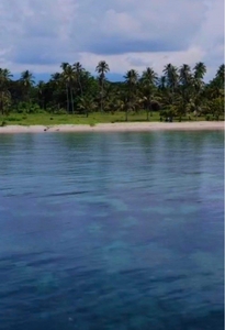 Beach Front Lot For Sale Located At Palawan Puerto Princesa on Carousell