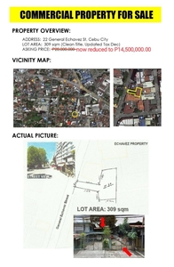 COMMERCIAL PROPERTY FOR SALE IN GEN. ECHAVEZ ST. CEBU CITY!! PRICE REDUCED on Carousell