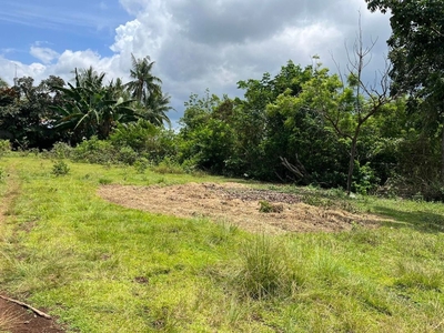 COMMERCIAL/RESIDENTIAL LOT FOR SALE AT DANAO