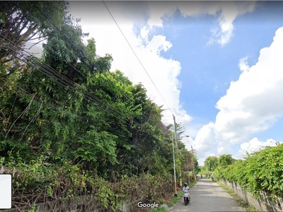 Commercial/Residential Lot For Sale in Binan Laguna on Carousell