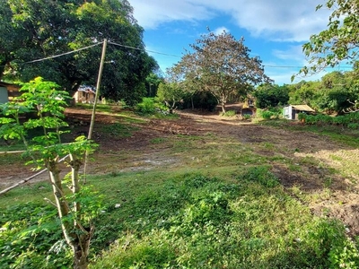Commercial & Residential Lots for Sale in Pililla Rizal near Windmill Farm on Carousell