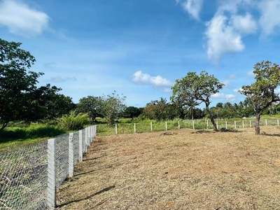Cool Climate Farm Lot for sale in Alfonso near Tagaytay on Carousell