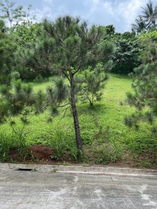 Crosswinds Tagaytay Vacant Lot for Sale on Carousell