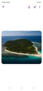 Dibutonay Island For Sale 180