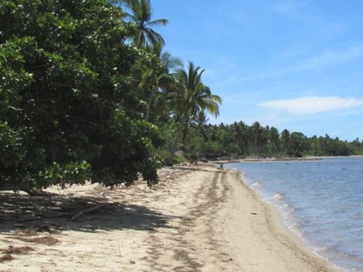 DYU - Puerto Princesa Palawan Beach Property for Sale! With 156 meter beach front on Carousell