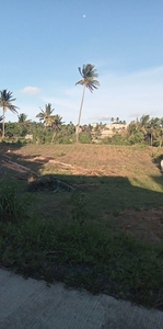 Farm Land For Sale in Batangas on Carousell