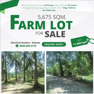 Farm Land For Sale - 5