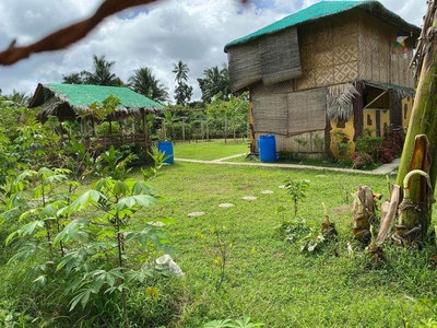 Farm lot for sale 586 sqrm near Tagaytay on Carousell