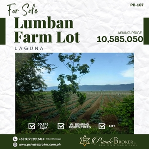 Farm Lot For Sale at Lumban Laguna on Carousell