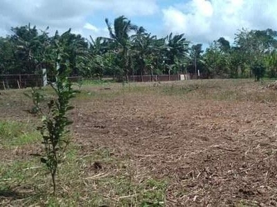 Farm lot for sale in mendez on Carousell
