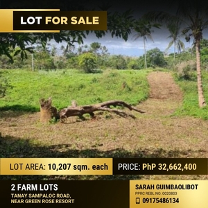 Farm Lot in Tanay Rizal For Sale on Carousell