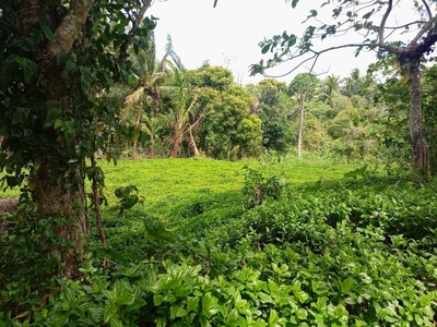 FARM LOT WITH FLAT TERRAIN AND FERTILE SOIL FOR SALE on Carousell