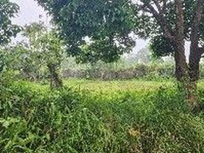 Farm (Titled) lot in Tagaytay /Alfonso For sale on Carousell