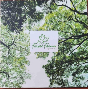 Filinvest Forest Farms Lot For Sale on Carousell