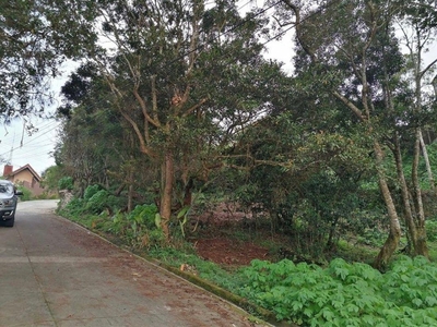 FLAT TERRAIN LOT FOR SALE IN BAGUIO on Carousell
