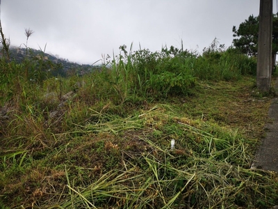 Flat terrain overlooking china sea Baguio lot for sale (ZIR) on Carousell