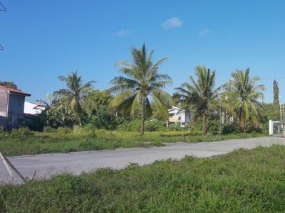 Flexible payment lot for sale in Magdalena Laguna on Carousell