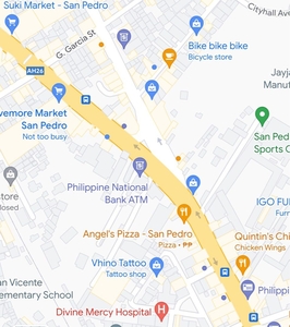 For Sale Commercial Lot National Road Main Road San Pedro Laguna near Muntinlupa on Carousell