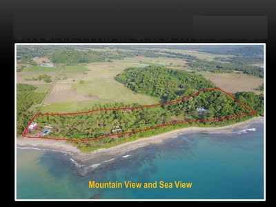 For Sale: Dive Resort in the Second Largest Contiguous Coral Reefs in the World - Apo Reef
