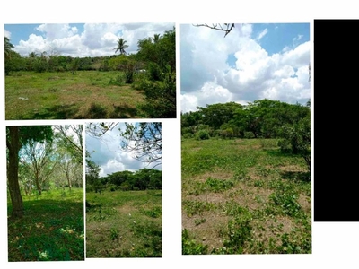 For Sale: Farm/Agricultural Property in Lipa