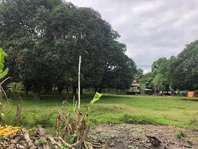 For Sale Farm/Residential Lot @ Palimbo Camiling Tarlac on Carousell