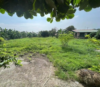 FOR SALE LOT IDEAL FOR FARM RESORT IN MAGALANG PAMPANGA NEAR ANGELES FLYING CLUB on Carousell