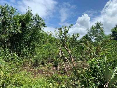For Sale: Lot in Bil-isan Panglao Bohol on Carousell