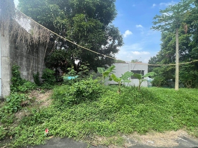 For sale Lot in San Pedro Laguna Clean Title on Carousell