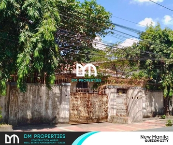 For Sale: Lot with old house in New Manila