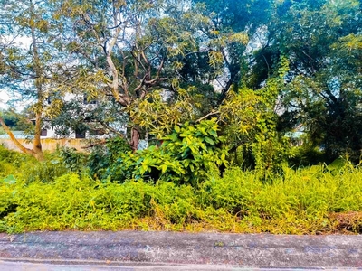 For Sale Residential Lot in Antipolo ( Brookside Subd Entrance) on Carousell