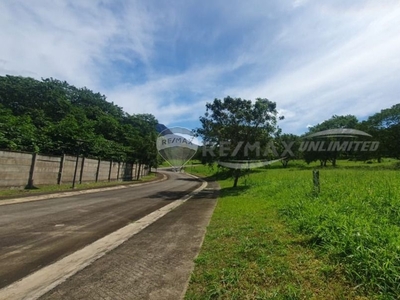 For Sale: Residential Lot in Ayala Greenfield Estates (Phase 8A)