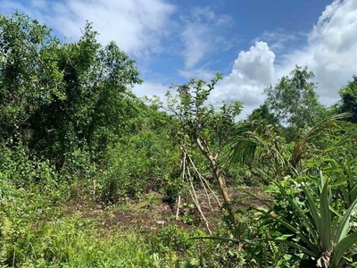 For Sale: Titled Agricultural Lot in Oy Loboc Bohol on Carousell