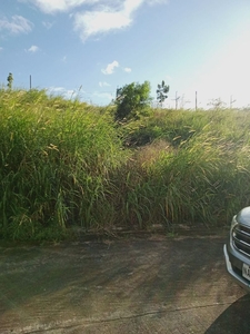 FOR SALE VACANT LOT AT SUNVALLEY RESD'L ESTATE ANTIPOLO CITY on Carousell
