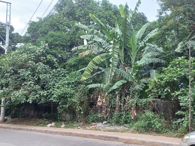 For Sale: Vacant Lot in Antipolo Rizal- For Commercial