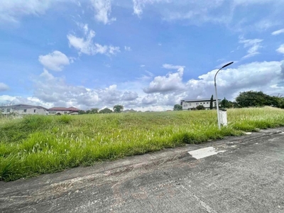 For Sale Vacant Lot in Ayala Southvale Primera Adjacent Lot Available on Carousell