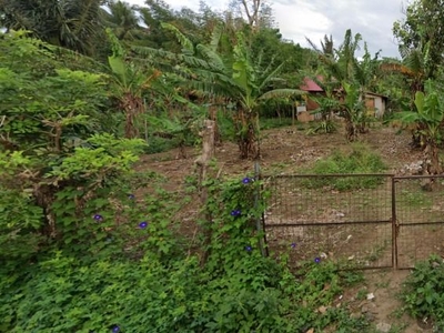 FOR SALE | Vacant Lot in Lipa Batangas REPRICED! on Carousell
