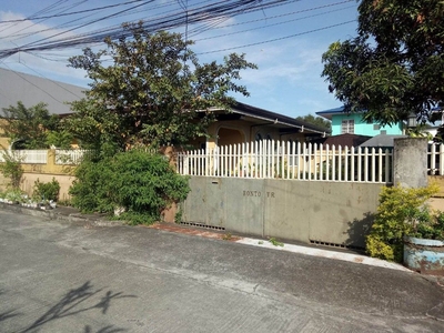 HOUSE AND LOT FOR SALE
LOT AREA: 509 sqm
LOCATION: Poblacion 4