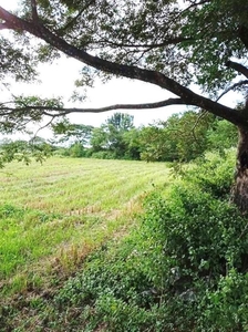 JDL - FOR SALE: 1 Hectare Agricultural Land in San Rafael