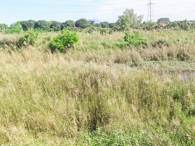 JDL - FOR SALE: 5.6 Hectare Agricultural Lot in Guagua Pampanga on Carousell