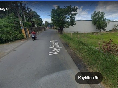 LOT FOR SALE-1000SQM on Carousell