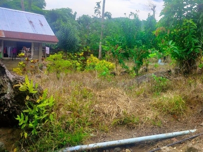 Lot for sale 200 sqm titled property Clarin Bohol Philippines 160k only on Carousell