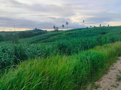 Lot for sale 3 hectares clean title expandable up to 12 hectares or up to 30 hectares Bogo City Cebu Philippines 500/sqm negotiable on Carousell