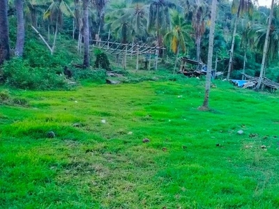 Lot for sale 5.3 hectares clean title Cebu City 400/sqm negotiable on Carousell